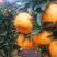 精品碰柑柑橘柑桔大量上市，批发代发接商超