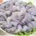 冻货冰鲜冷冻虾仁大量批发价格低无冰气动的