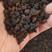 长白山野生【桦树茸黑精颗粒】是普通桦树茸效果的三倍