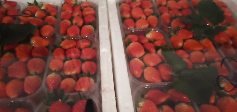 甜宝草莓大量上市货源充足诚信代办
