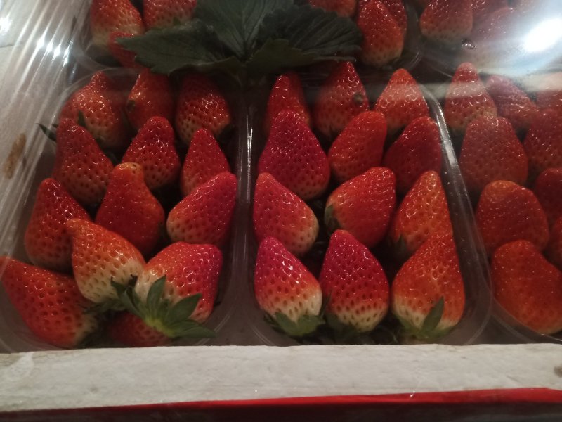 甜宝草莓大量上市货源充足诚信代办