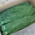 产地直发贡菜自然风干，一级条，质量保证，诚信经营欢迎下单