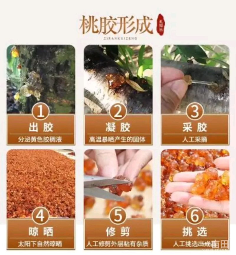 【有好货】桃胶湖北随州产地直发一斤装包邮量大从优
