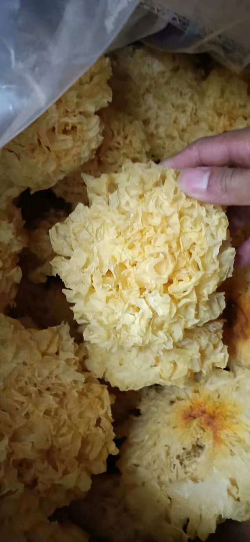古田银耳订做各种规格