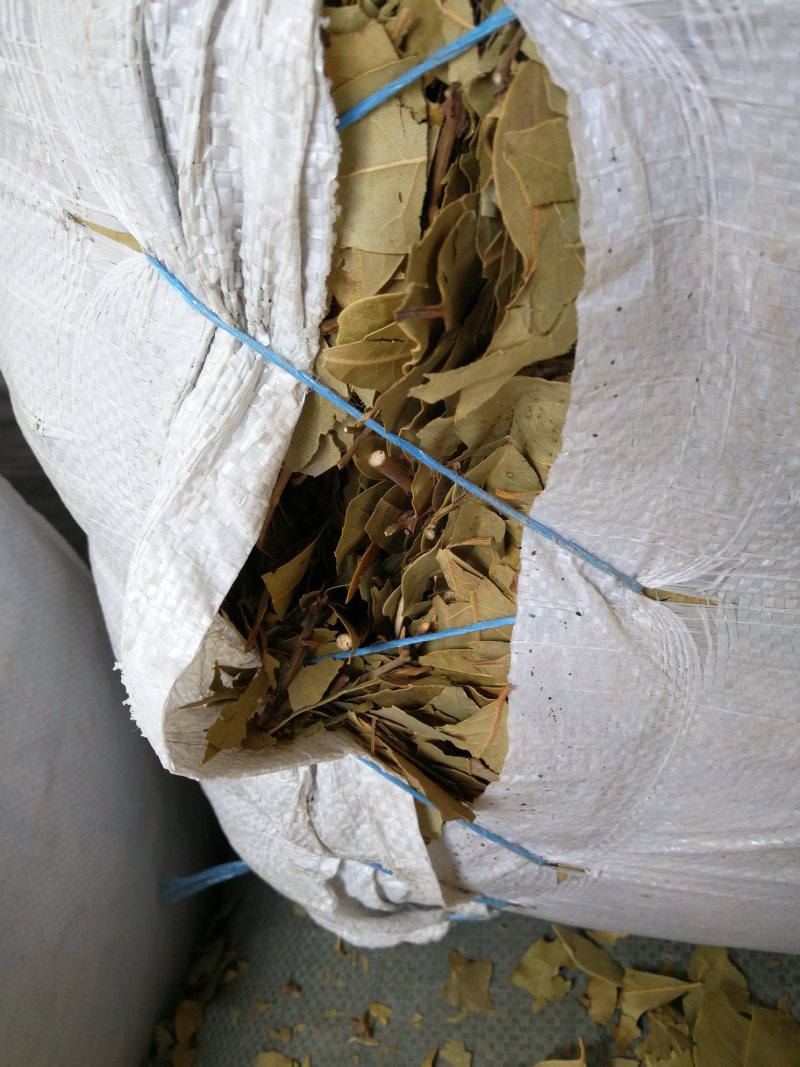 香叶黄香叶绿香叶调味料香叶批发各种香料