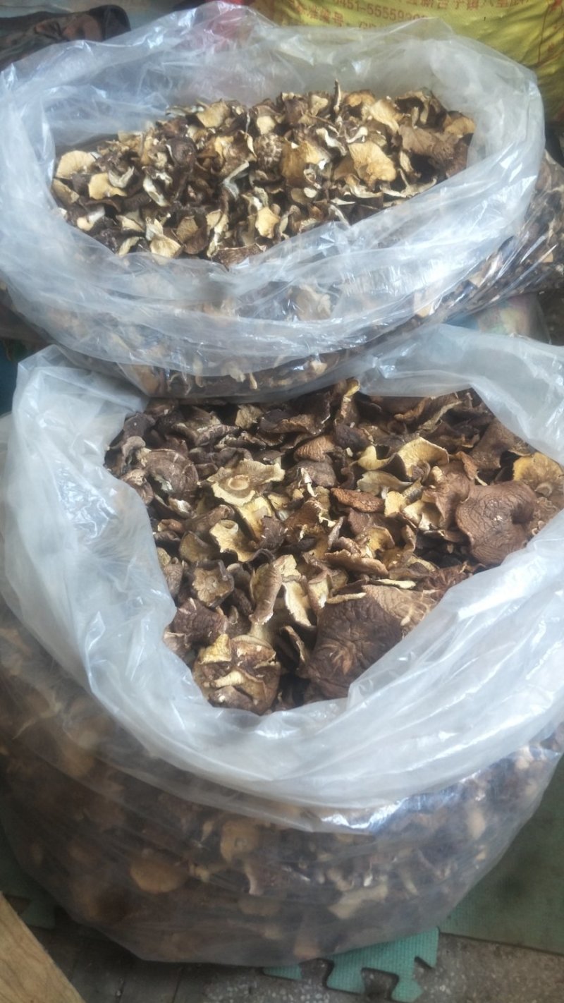 长白山野生香菇花菇选货