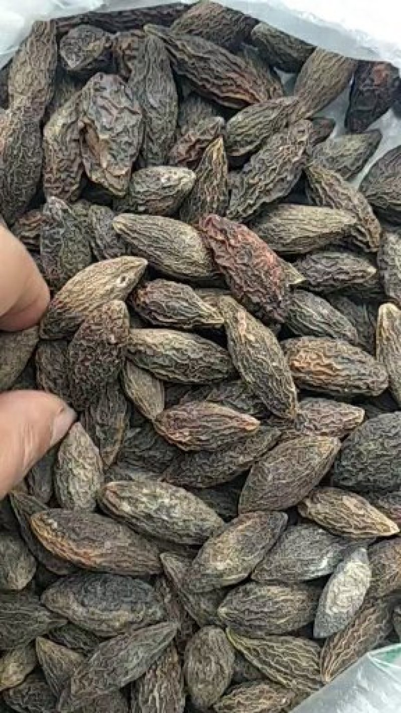 干橄榄大量现货供应质量好一手货源，量大优惠欢迎咨询