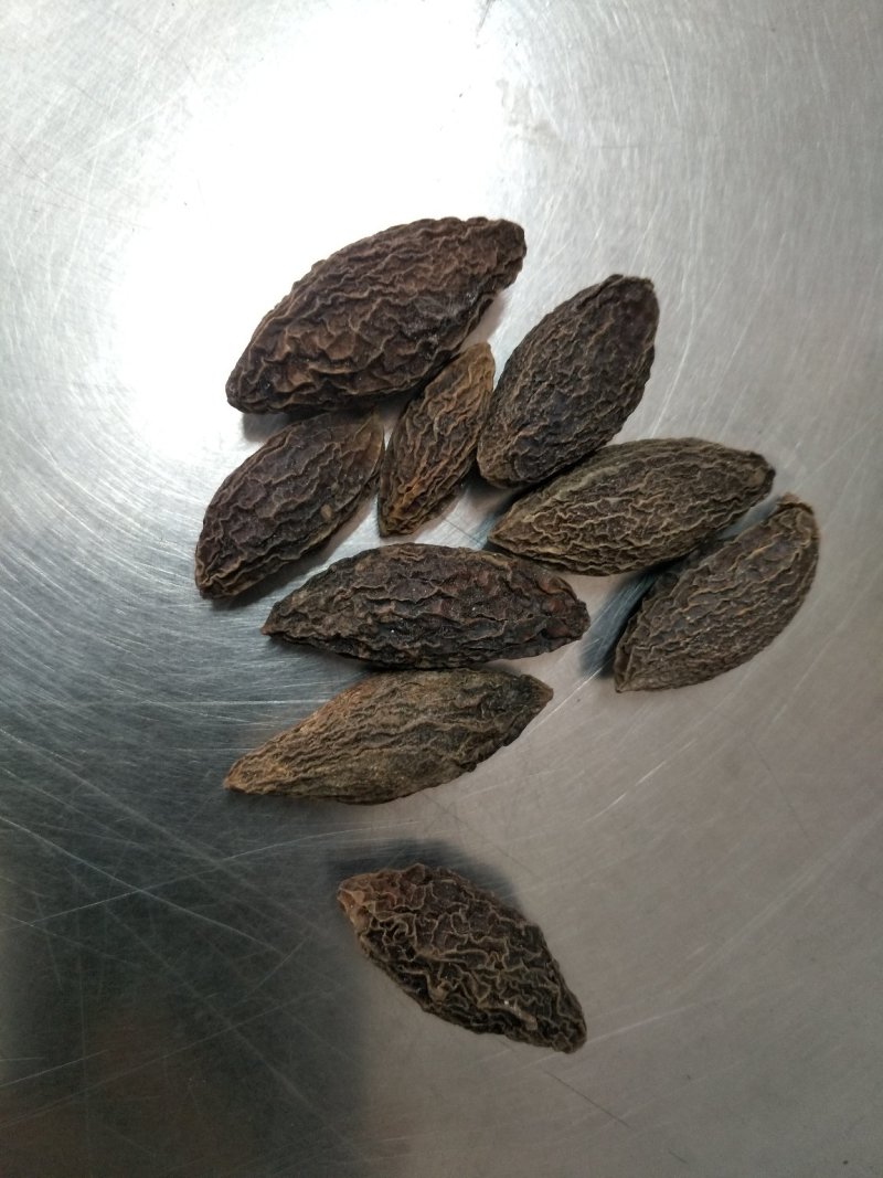 干橄榄大量现货供应质量好一手货源，量大优惠欢迎咨询