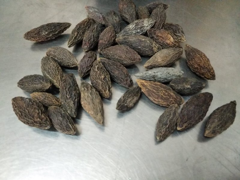 干橄榄大量现货供应质量好一手货源，量大优惠欢迎咨询