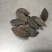 干橄榄大量现货供应质量好一手货源，量大优惠欢迎咨询