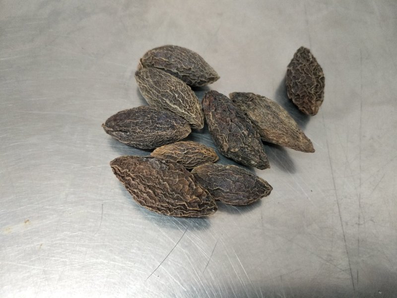 干橄榄大量现货供应质量好一手货源，量大优惠欢迎咨询