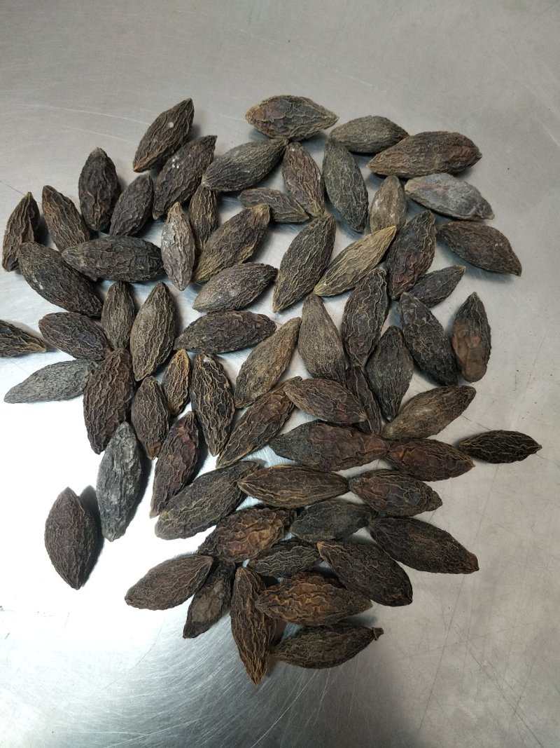 干橄榄大量现货供应质量好一手货源，量大优惠欢迎咨询