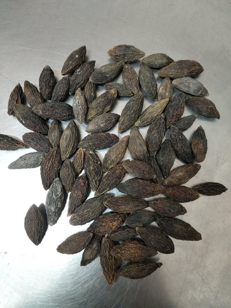 干橄榄大量现货供应质量好一手货源，量大优惠欢迎咨询