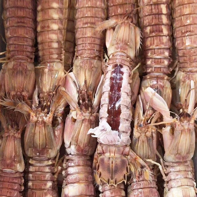 皮皮虾肉，虾爬子肉，手扒虾肉