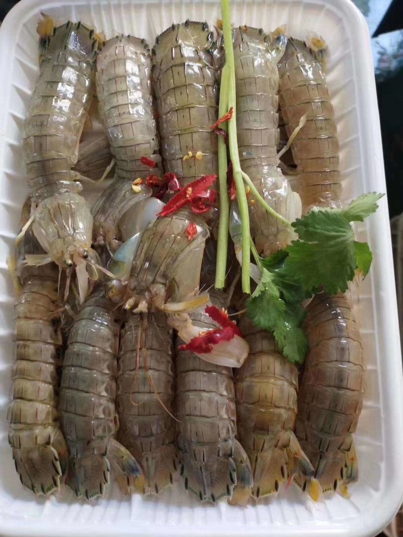 皮皮虾，熟冻，保肥满肉，一手货源，质量保证，价格优惠，