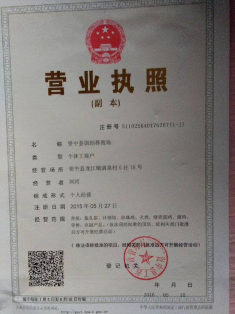 珍珠鸡苗脱温苗出壳苗疫苗齐全