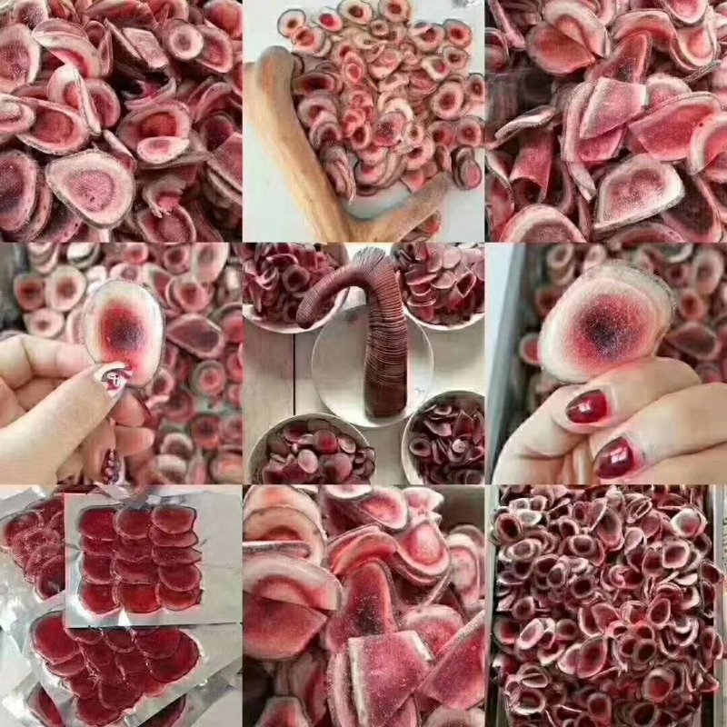 2025年新鲜带血的鹿茸鲜鹿茸片一件包邮