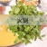 新鲜西洋菜3斤包邮21.9元，全国大部分地区发货