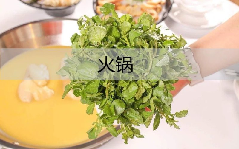 新鲜西洋菜3斤包邮21.9元，全国大部分地区发货