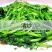 新鲜西洋菜3斤包邮21.9元，全国大部分地区发货