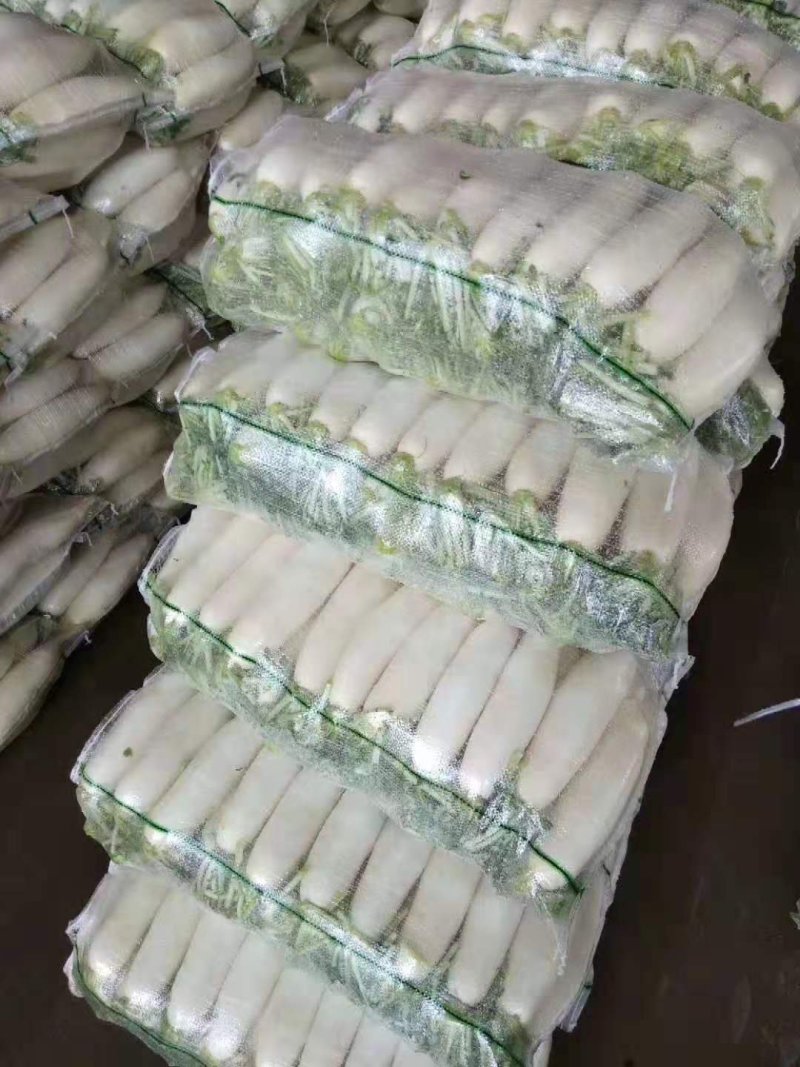 白萝卜