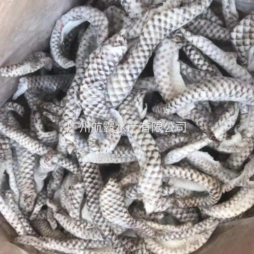 单冻罗飞鱼皮熟鱼皮