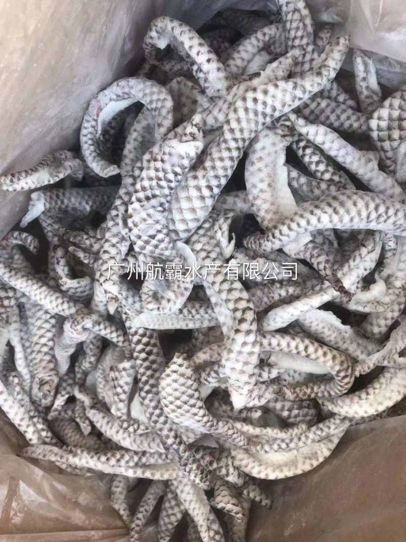 单冻罗飞鱼皮熟鱼皮