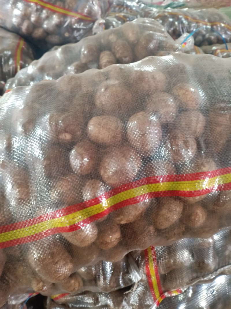 山东毛芋头8520豆包毛芋头供应电商毛芋头支持电商全国发