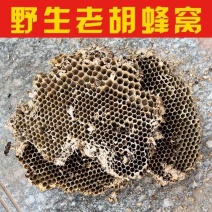 秦岭胡蜂巢马蜂房胡蜂窝中药材野蜂房包邮