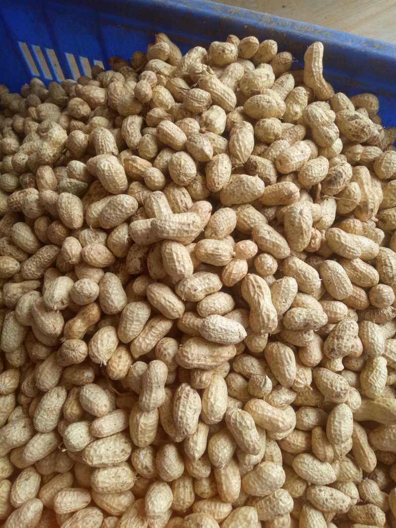 河南花生，鲜花生，大白沙小白沙罗汉果四粒红档口电商