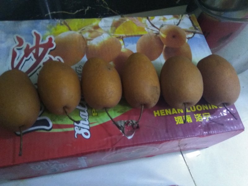沙梨王
