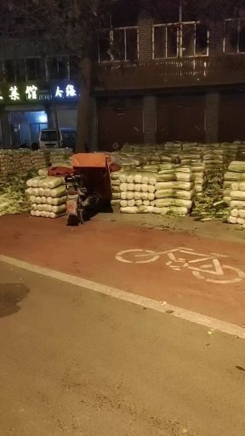 滕州大白菜大量供应超市市场精包装泡菜厂货