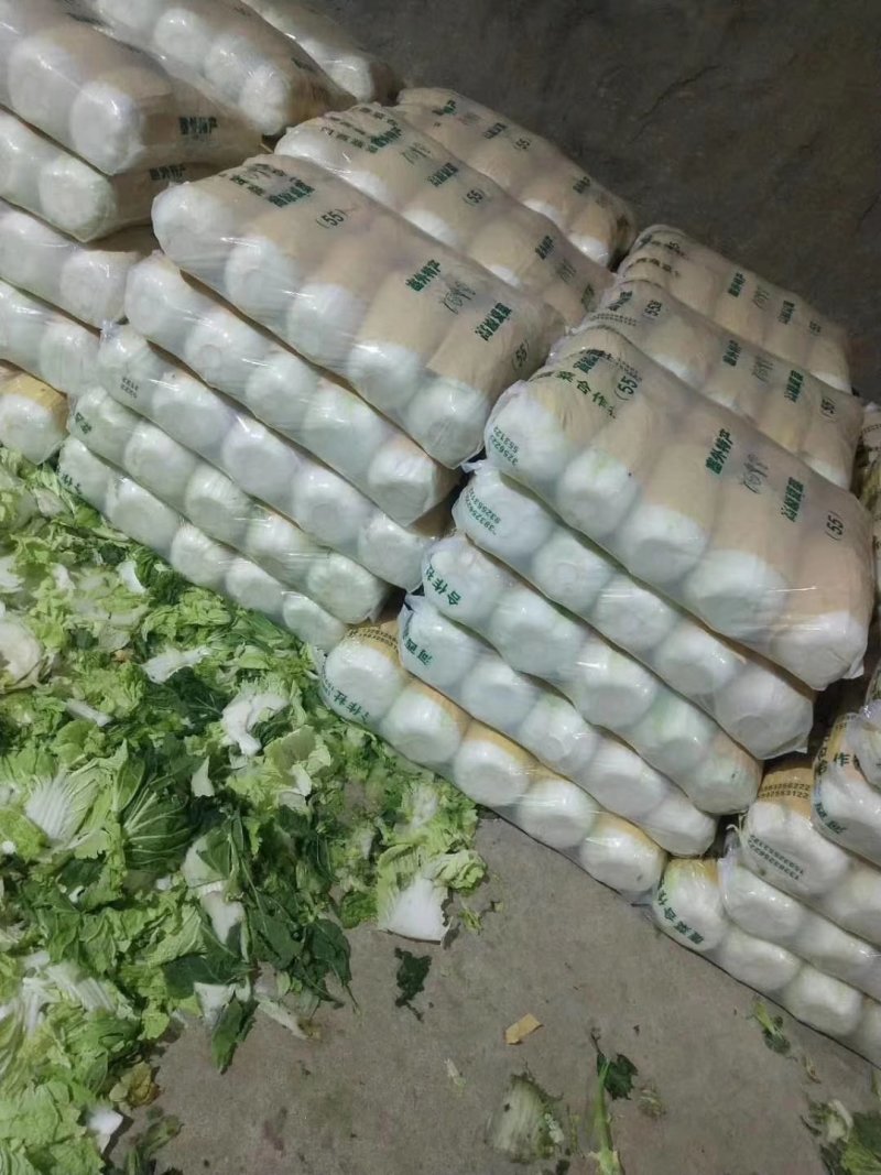 滕州大白菜大量供应超市市场精包装泡菜厂货