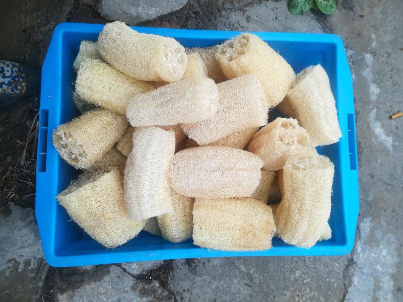 卖丝瓜络
