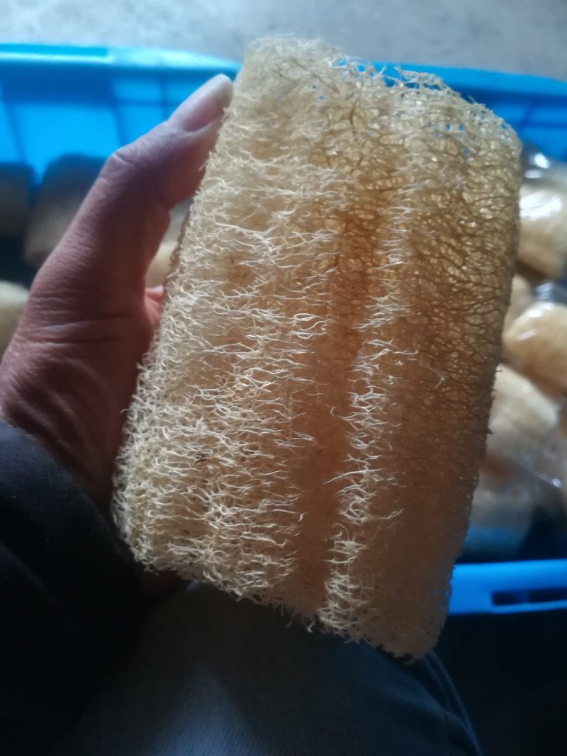 卖丝瓜络