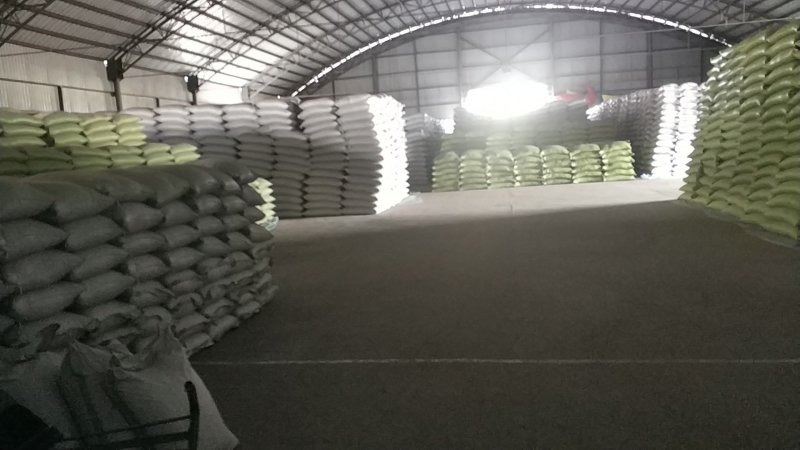 呼伦贝尔2022年六月销售新油菜籽，高含油，味香。