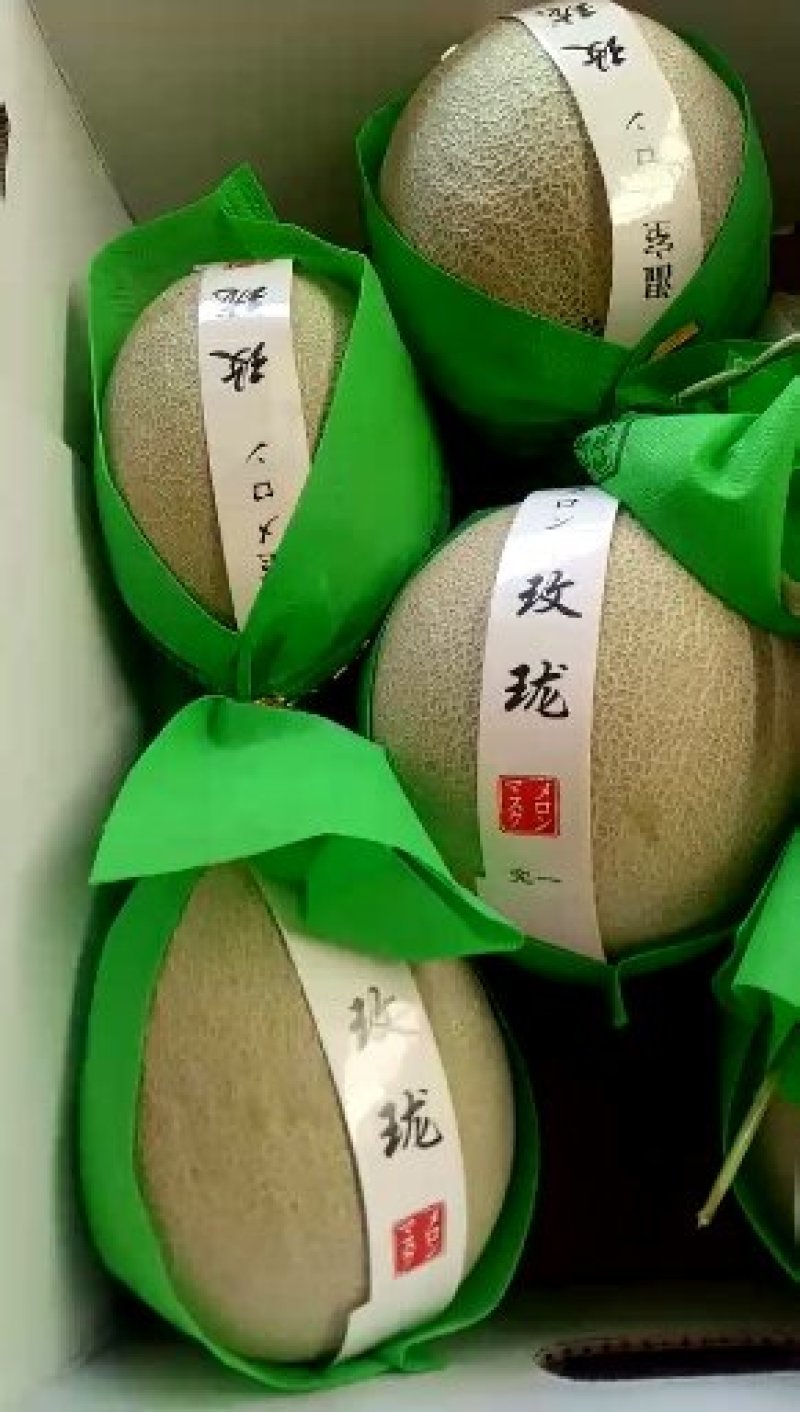 鲁厚甜网纹瓜实力代办一件代发对接各大电商