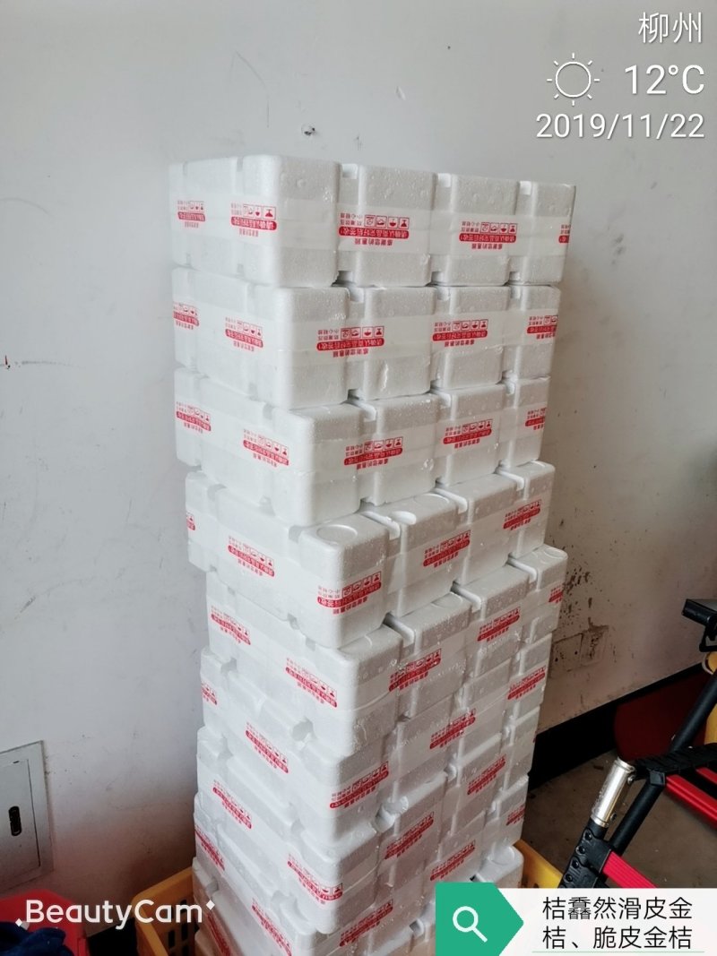 广西融安金桔滑皮金桔新鲜水果当季整箱5斤包邮现摘现发黄皮