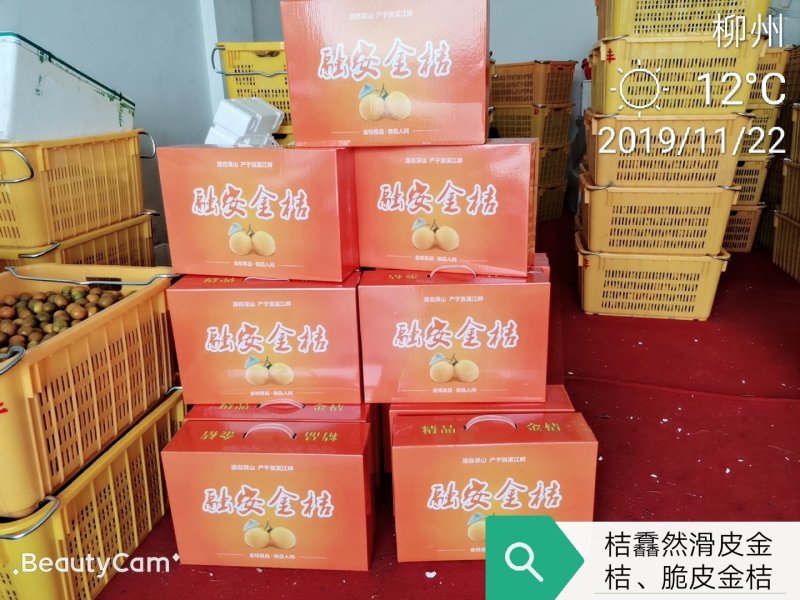 广西融安金桔滑皮金桔新鲜水果当季整箱5斤包邮现摘现发黄皮
