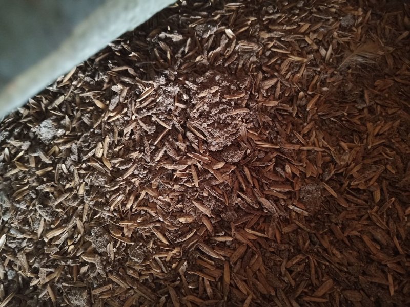 安徽稻壳草鸡粪，有机肥料，鸡粪