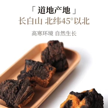 长白山野生20年生桦树茸一斤起卖包邮产地直供当天发货