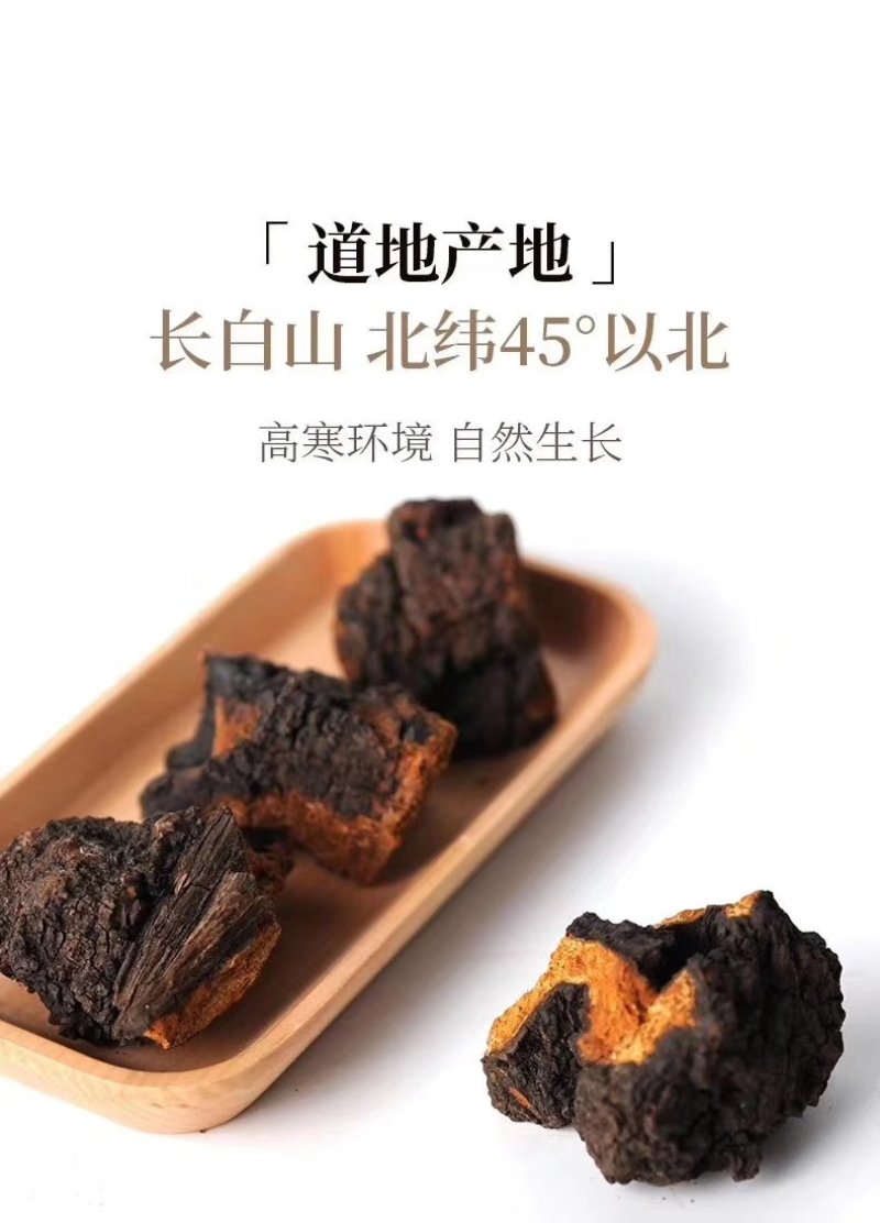 长白山野生20年生桦树茸一斤起卖包邮产地直供当天发货