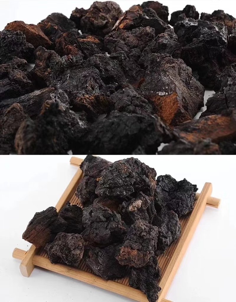 长白山野生20年生桦树茸一斤起卖包邮产地直供当天发货