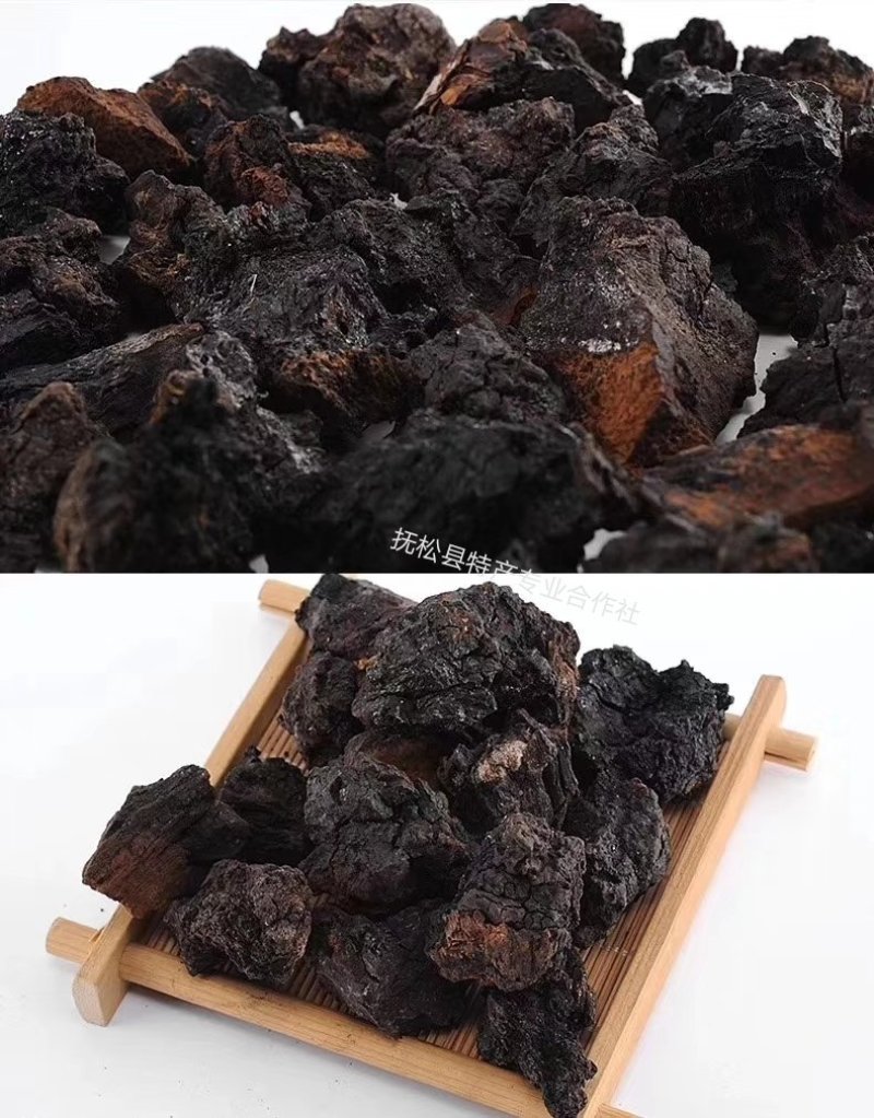 长白山野生20年生桦树茸一斤起卖包邮产地直供当天发货