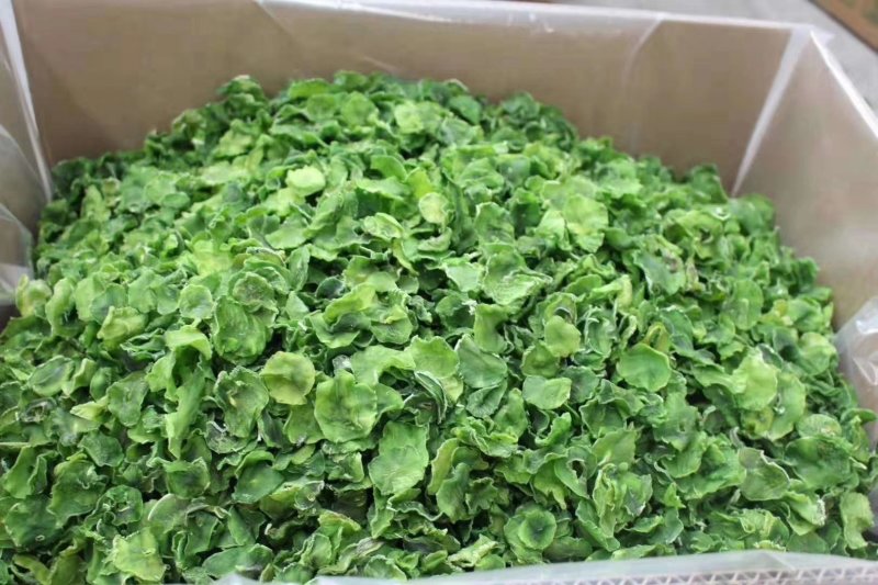 湖南莴笋片品质保证产地直发可视频看货欢迎咨询