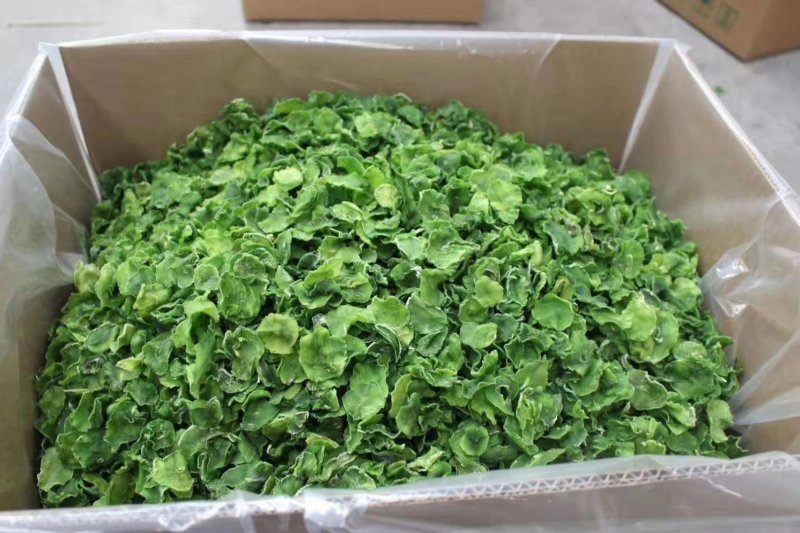 湖南莴笋片品质保证产地直发可视频看货欢迎咨询