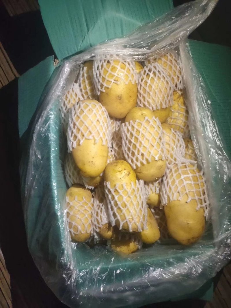 荷兰十五土豆大量供应箱装精品超袋装加工厂货