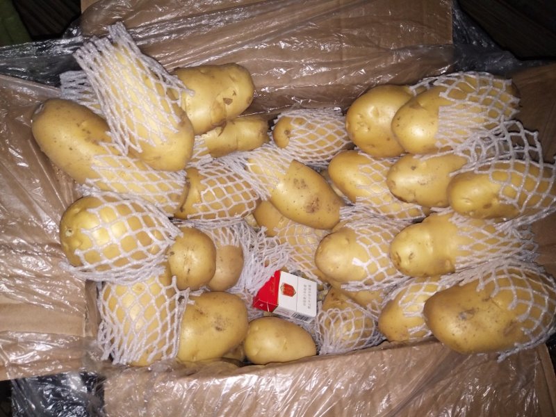 荷兰十五土豆大量供应箱装精品超袋装加工厂货