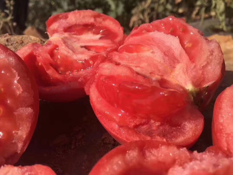 普罗旺斯西红柿，产地普罗旺斯番茄，整车代发。