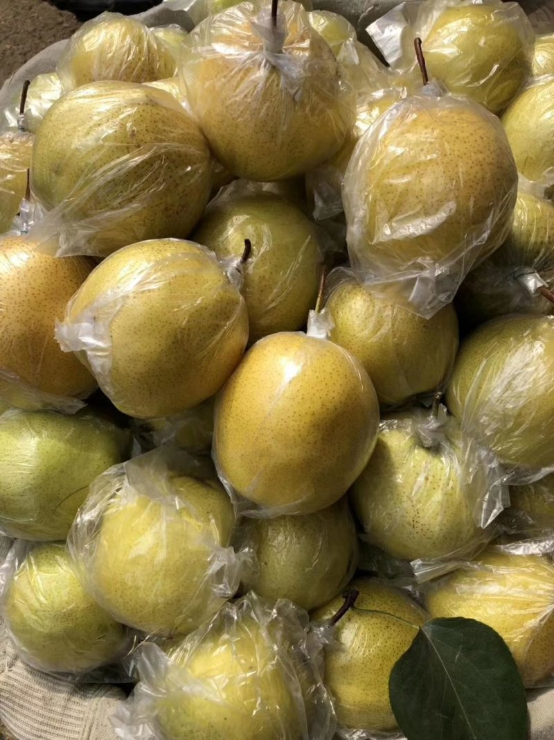 雪花梨200~250g膜袋